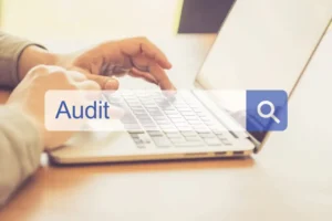 Website Audit for online presence and ranking 