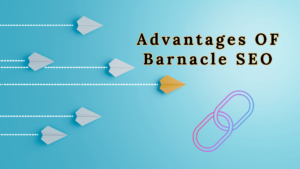 Advantages of Barnacle seo in 2024 , new strategies to help small business