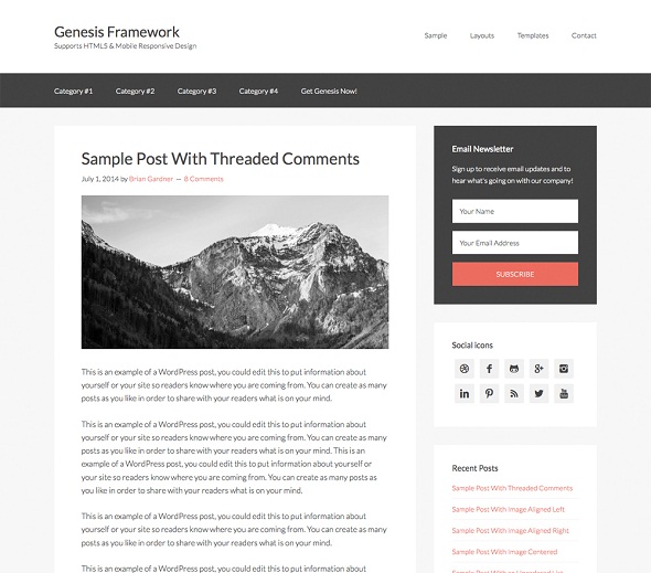 WordPress Best theme-Genesis Framework
